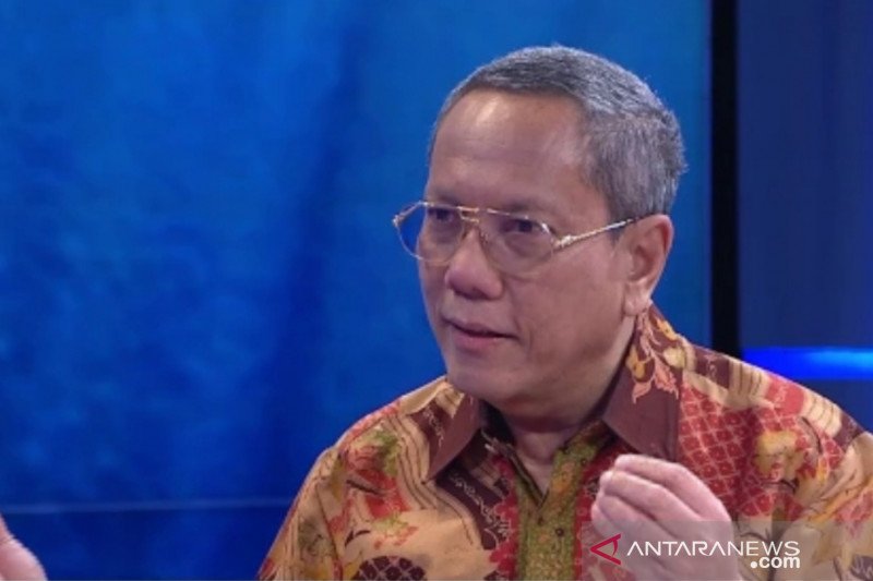 A screen capture of Professor Tjandra Yoga Aditama at a webinar in June.
